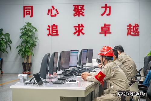 大唐沈东热电公司:全力以赴做好党的二十届四中全会保电工作