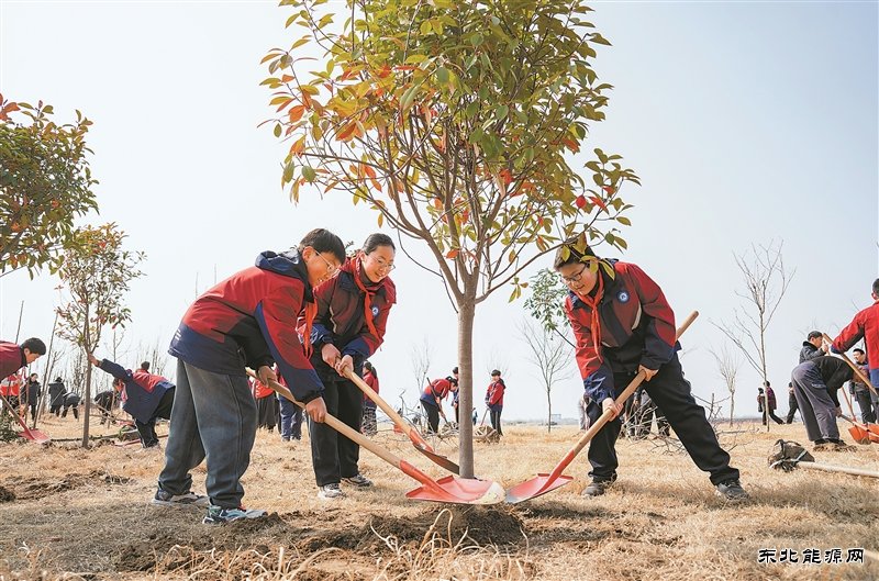 2025��ȫ�����Ӫ����356.3����