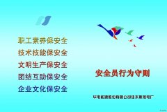 ������Դ��ľ˹�ȵ糧��������ȫ��Ϊ����˳������ƹ���Բ����