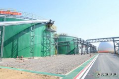 青岛生物质能源项目并网运营 日产天然气2万立方米