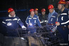 蒲白矿业煤矿运营公司决胜全年目标任务