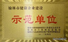 中能煤田公司荣获“榆林市健康企业建设示范单位”荣誉称号
