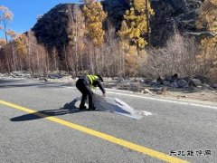 哈巴河执法大队:清理路面杂物,保障公路畅通