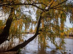 �ó�������һ���ǵ�����