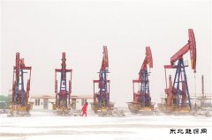 ��ѩ�е��ػ�