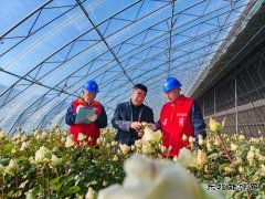 ���ع��繫˾����׼��������������ֲ���������ϡ����ĵ硱