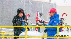 ��ѩ���� ά������