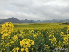 ��һ�꣬������