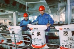 ����ʯ������ǰı�� �غ�ũ�ʱ�����