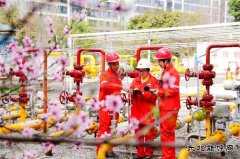 ���������� ��������æ