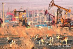 �������ӭ������̬�ڱ���