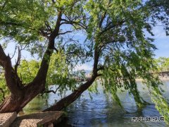 �����³ǡ���������������ķ羰