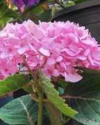 ����ʲô�ж��㣿