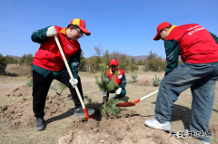 �����������칩�繫˾��ֲ�̻��̵�ʹ�� ��������������